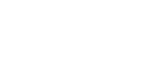 FDN
